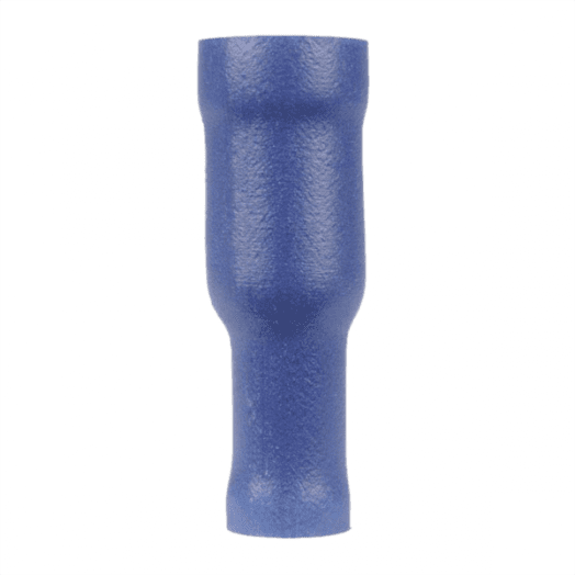 Blue Pre-Ins Term