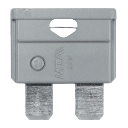 2 Amp Blade Fuse