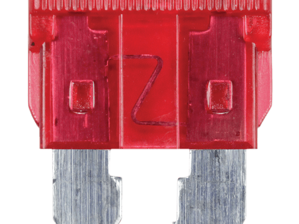10 Amp Blade Fuse