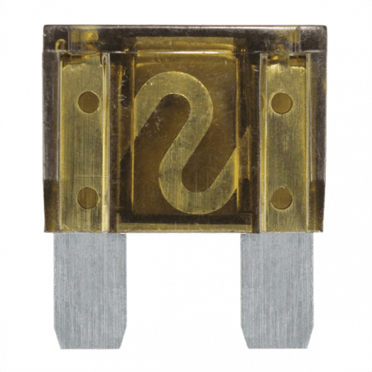 40 Amp Maxi Fuse