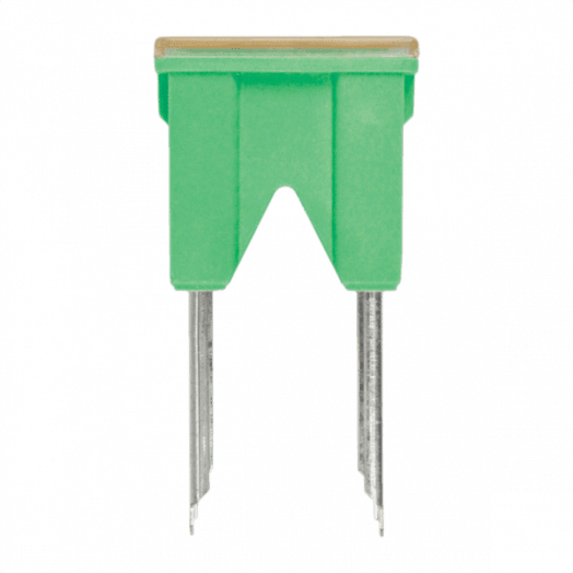 40 Amp Fuse