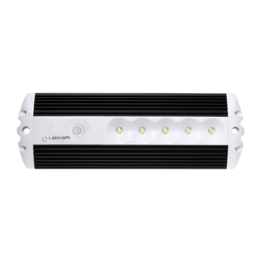 LED PIR Light