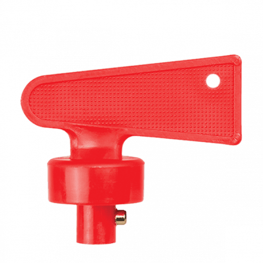 Key for BIS1