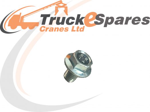 SCREW FOR AXLE / PIN HOLDER